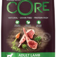 Wellness CORE Adult Lamb Recipe All Breeds Dry Dog Food, 10 Kg