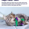 Petstages Krazy Kale Dental Catnip Cat Chew Toy