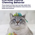 Petstages Catnip Chew Mice Dental Health Cat Toy – 2 Pack