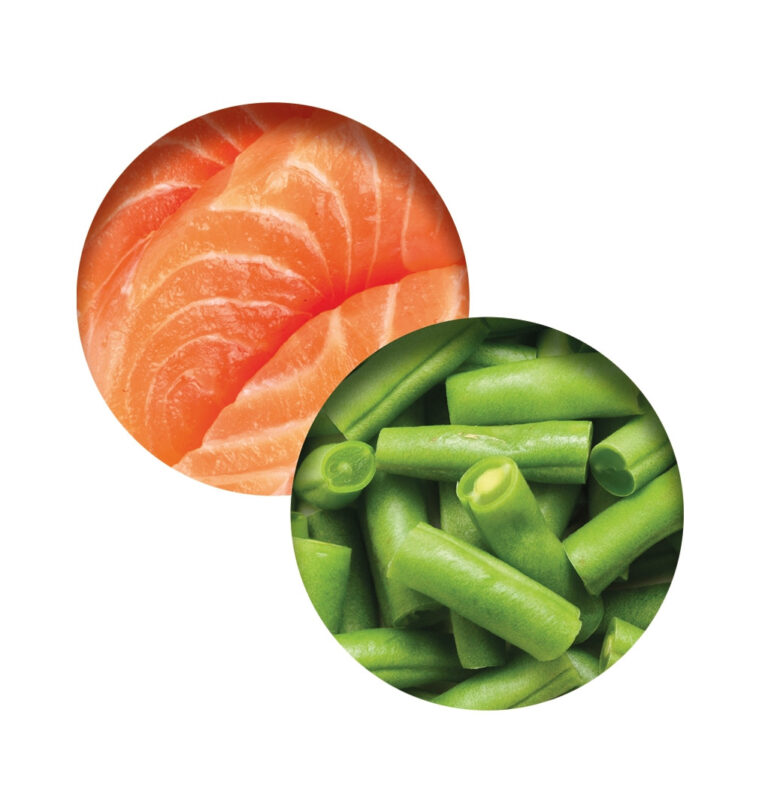 44712_ca2_fish_dinner_salmon_green-beans_details_rgb