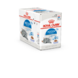 fhnw20_-_indoor_7__ster-jelly-packshot-box_c-b1n_med._res.___basic_357338_1