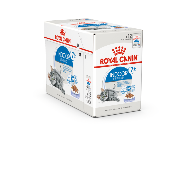 fhnw20_-_indoor_7__ster-jelly-packshot-box_c-b1n_med._res.___basic_357338_1