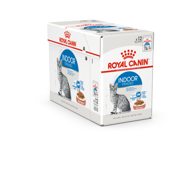 fhnw20_-_indoor_ster-gravy-packshot-box_c-b1s-_med._res.___basic_357100
