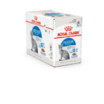 fhnw20_-_indoor_ster-jelly-packshot-box_c-b1n_med._res.___basic_357121_1