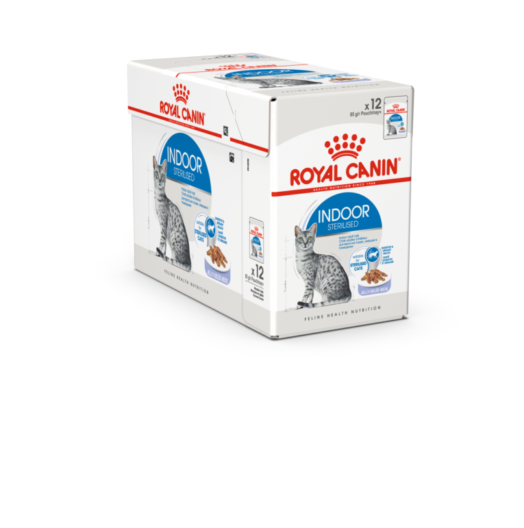 fhnw20_-_indoor_ster-jelly-packshot-box_c-b1n_med._res.___basic_357121_1