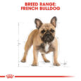 rc-bhn-frenchbulldog-cv-eretailkit-1_