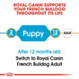 rc-bhn-puppyfrenchbulldog-cv-eretailkit-1_