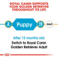 rc-bhn-puppygoldenretriever-cv-eretailkit-1_