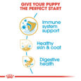 rc-bhn-puppygoldenretriever-cv-eretailkit-3_