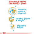 rc-bhn-puppylabradorretriever-cv-eretailkit-3_