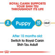 rc-bhn-puppyshihtzu-cv-eretailkit-1_