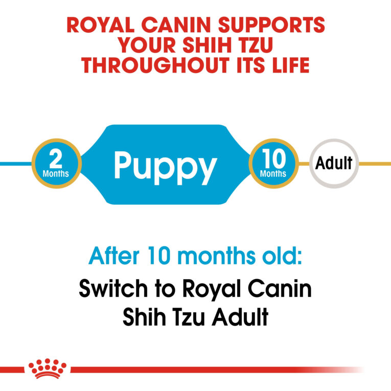 rc-bhn-puppyshihtzu-cv-eretailkit-1_