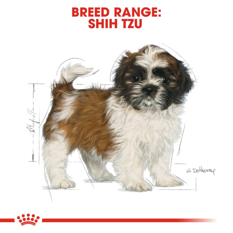 rc-bhn-puppyshihtzu-cv-eretailkit-4_