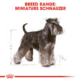 rc-bhn-schnauzer-cv-eretailkit-1_