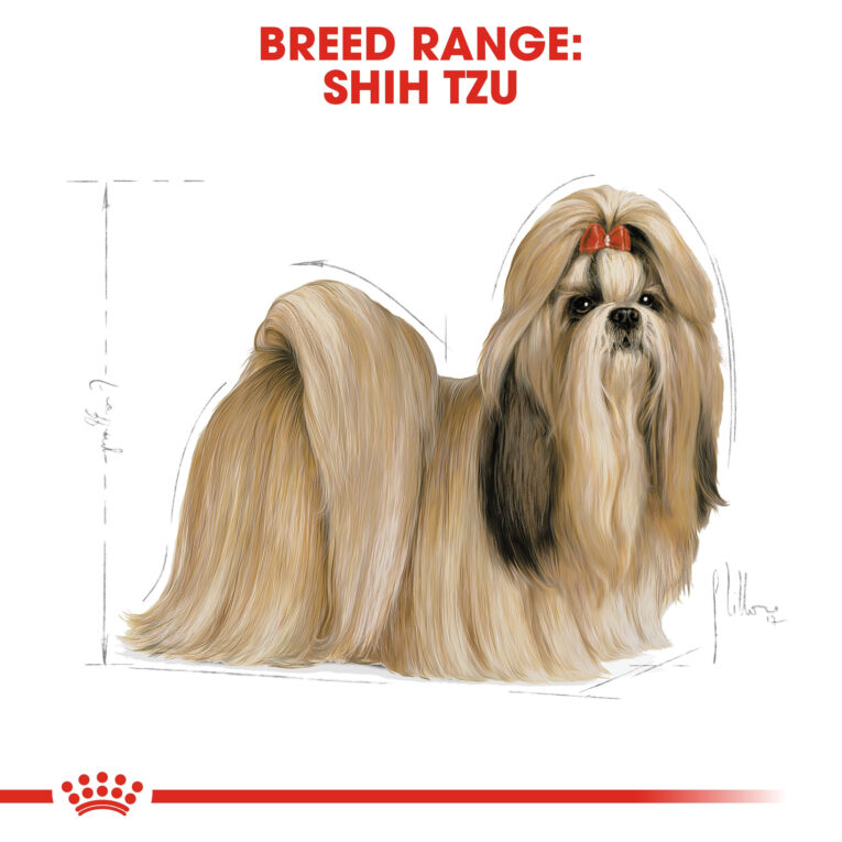 rc-bhn-shihtzu-cv-eretailkit-1_