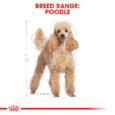 rc-bhn-wet-poodle-cv-eretailkit-1_