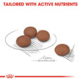 rc-ccn-digestivemini-cv-eretailkit-5_