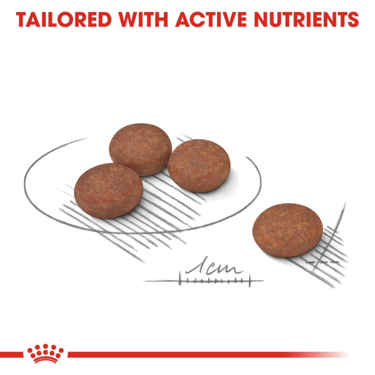 rc-ccn-digestivemini-cv-eretailkit-5_