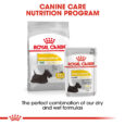 rc-ccn-wet-dermacomfort-cv-eretailkit-4
