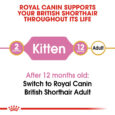 rc-fbn-kittenbritishshorthair-cv-eretailkit-1_