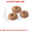 rc-fhn-fit32-cv-eretailkit-3__4