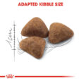 rc-fhn-indoor27-cv-eretailkit-3_