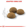 rc-fhn-indoorlonghair-cv-eretailkit-3_