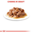 rc-fhn-wet-instinctivegravy-cv-eretailkit-3_