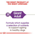 rc-shn-adultgiant-cv-eretailkit-1_