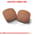 rc-shn-adultgiant-cv-eretailkit-3_