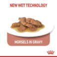 rc-spt-wet-ind7stergravy-cv-3_med._res.___basic_402847