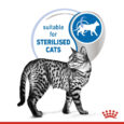 rc-spt-wet-ind7sterjelly-cv-2_med._res.___basic