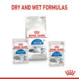 rc-spt-wet-ind7sterjelly-cv-4_med._res.___basic_402856