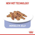 rc-spt-wet-indsterjelly-cv-3_med._res.___basic_402871