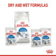 rc-spt-wet-indsterjelly-cv-4_med._res.___basic_402872