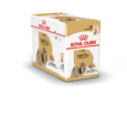 shih_tzu-packshot-box-c-bhn20_med._res.___basic