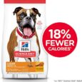 Hill’s Science Plan Light Medium Adult Dog Food With Chicken (14kg)