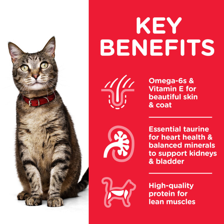 CAT_Adult_Chicken_Transition-Benefits