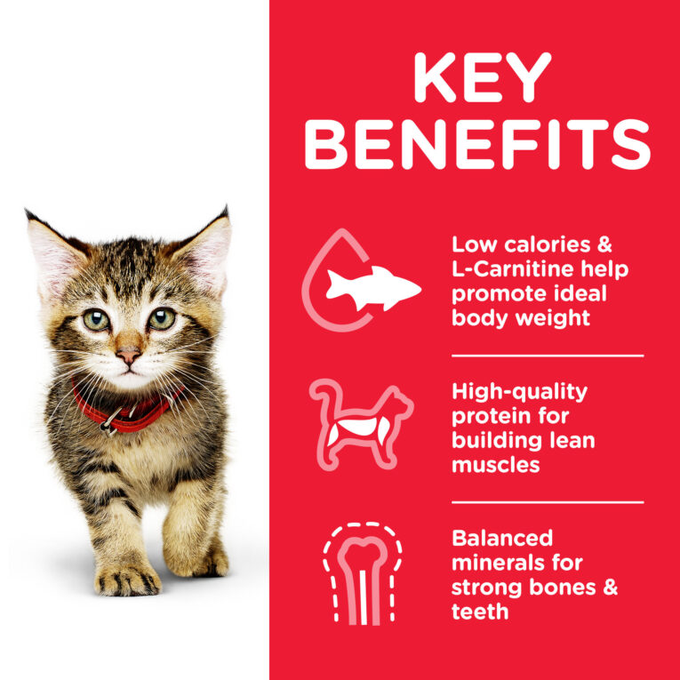 CAT_Kitten_Chicken_Transition-Benefits-3