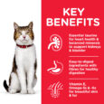 CAT_Mature_Adult_Chicken_Transition-Benefits
