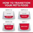 DOG_Food-Transition-1-2