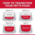 DOG_Food-Transition-2-1