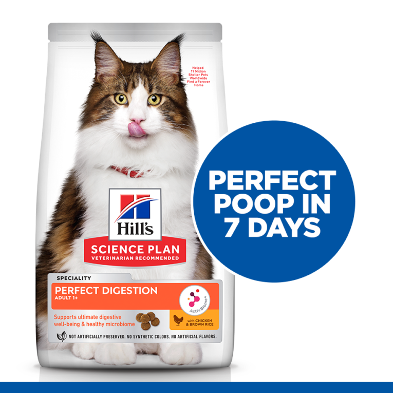 SP_Perfect-Digestion_Thumbs_cat_v21-Bag-Front-DRY