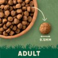 adult-kibble_2