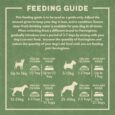 adult-wet-feeding-guide