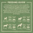 adult-wet-feeding-guide_1