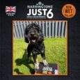 harringtons_just_6_chicken_grain_free_wet_dog_food-uk