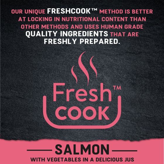 harringtons_just_6_salmon_grain_free_wet_dog_food_fresh_cook