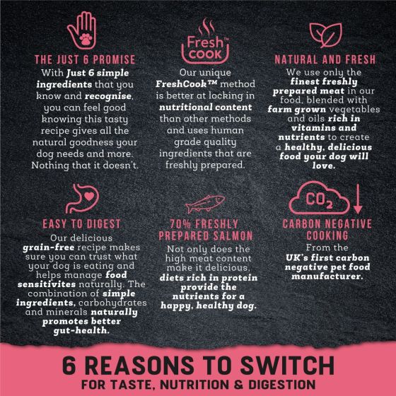 harringtons_just_6_salmon_grain_free_wet_dog_food_reasons_to_switch