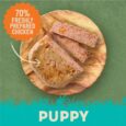 puppy-wet-food-shot-oh-trays